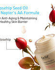 Belif Luxury Regenerating Sleeping Night Mask 75ml | Reduces Fine Lines & Wrinkles