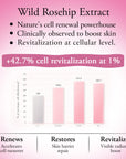 Belif Luxury Regenerating Sleeping Night Mask 75ml | Reduces Fine Lines & Wrinkles